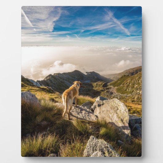 Die Reise Fotoplatte (Vorderseite)