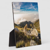 Die Reise Fotoplatte (Seite)