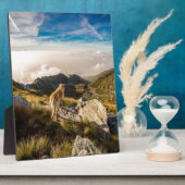 Die Reise Fotoplatte (Seite)