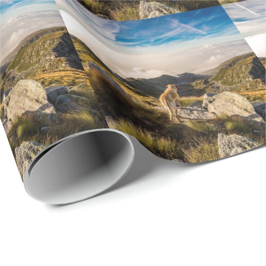 Die Reise Geschenkpapier (Rolleneckpunkt)