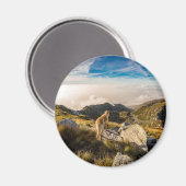 Die Reise Magnet (Vorderseite/Rückseite)