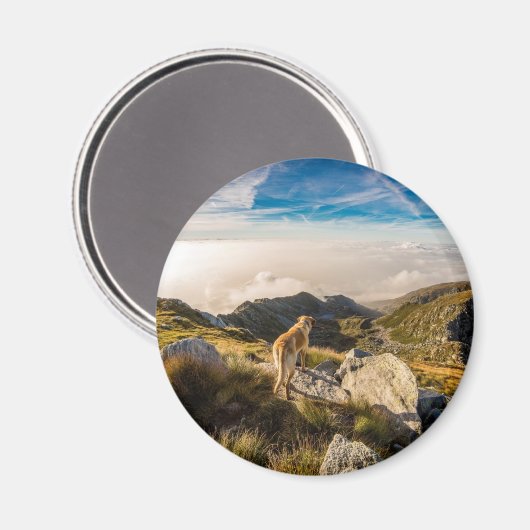 Die Reise Magnet (Vorderseite/Rückseite)