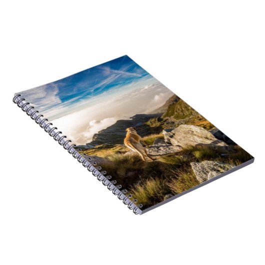 Die Reise Notizblock (Rechte Seite)