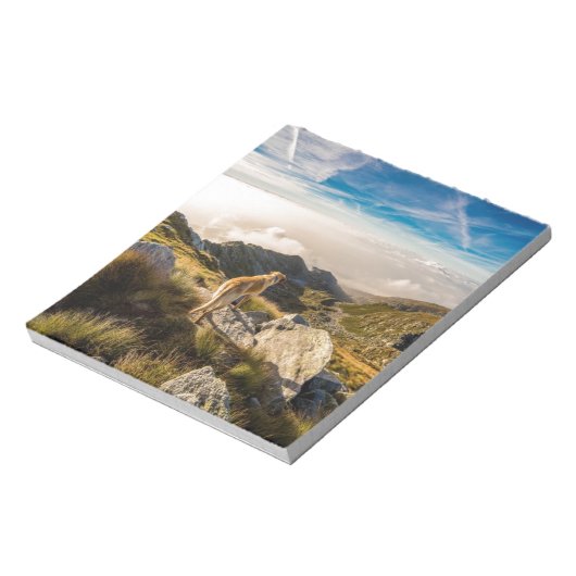 Die Reise Notizblock (Rotiert)