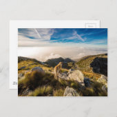 Die Reise Postkarte (Vorne/Hinten)