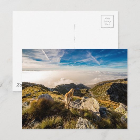 Die Reise Postkarte (Vorne/Hinten)