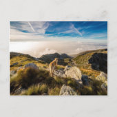 Die Reise Postkarte (Vorderseite)