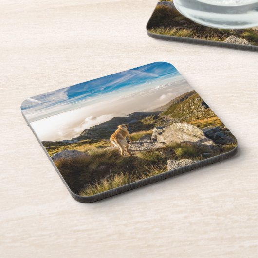 Die Reise Untersetzer (Linke Seite)