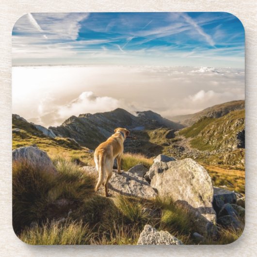 Die Reise Untersetzer (Vorderseite)