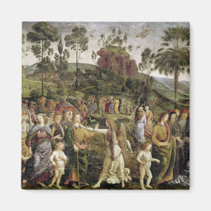 Die Reise von Mosese, c.1481-83 Magnet