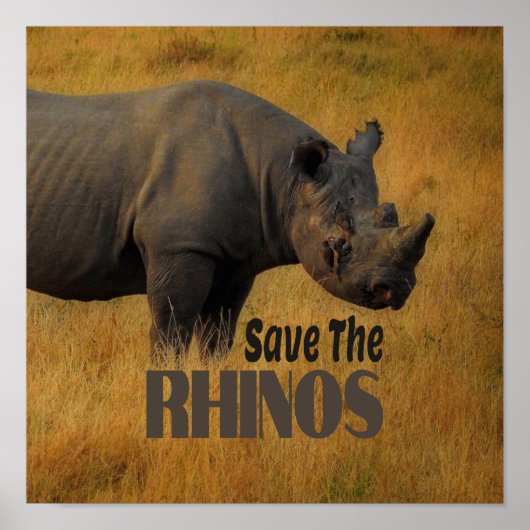 Die Rhinos gerettet Poster (Vorne)