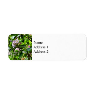 Die Rhododendren blühen