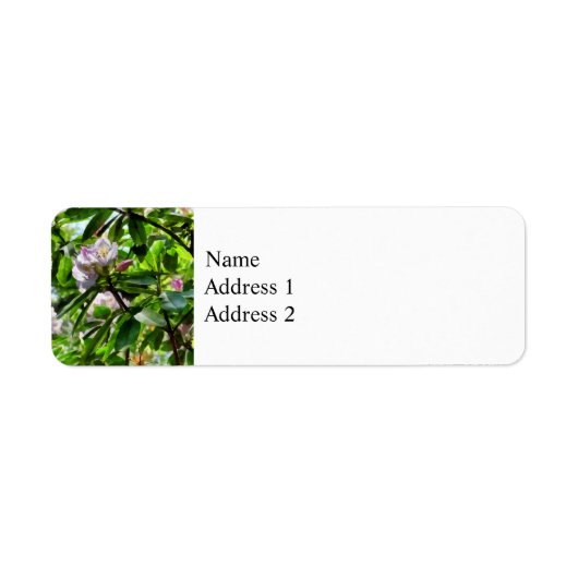 Die Rhododendren sind im Blut (Vorne)
