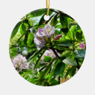 Die Rhododendren sind im Blut Keramik Ornament