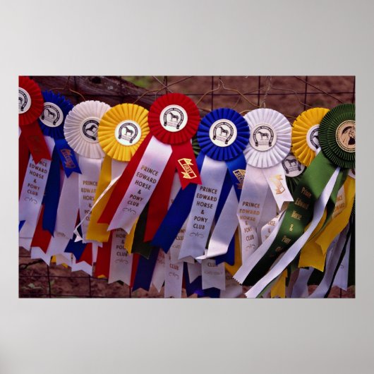 Die Ribbons Poster (Vorne)