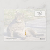 Die richtige Sitzhaltung Postkarte (Rückseite)