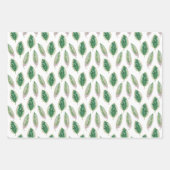 Die riesigen Blätter von Palmen und Monstera (Vorderseite 3)