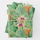 Die riesigen Blätter von Palmen und Monstera (Beispiel)