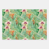 Die riesigen Blätter von Palmen und Monstera (Vorderseite)