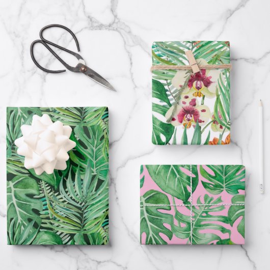 Die riesigen Blätter von Palmen und Monstera (Vorderseite)