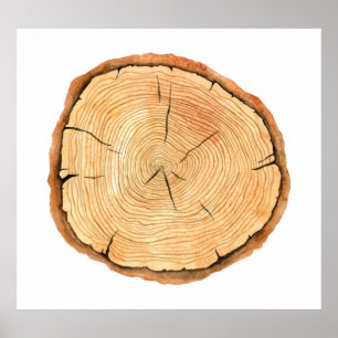 Die Ringe der Natur: Triumph der Baumtextur Poster