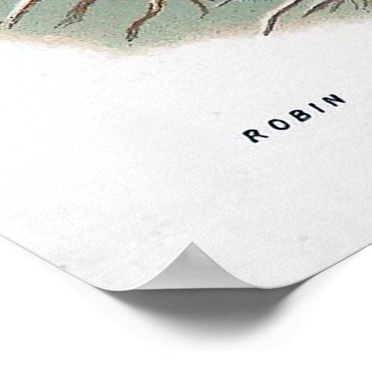 Die Robin Vintag Bird Illustration Poster (Ecke)