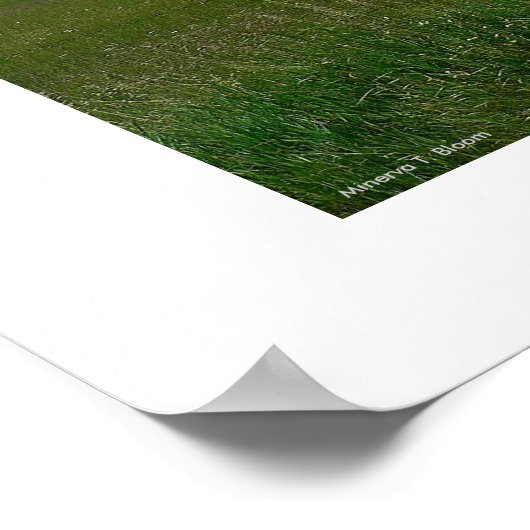 Die Rockies Poster (Ecke)