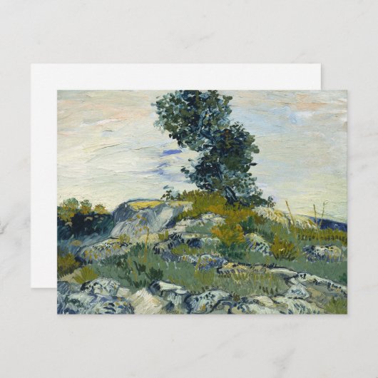 Die Rocks Vincent van Gogh (Vorne/Hinten)