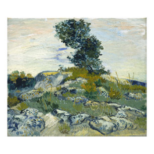 Die Rocks Vincent van Gogh Fotodruck