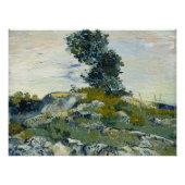 Die Rocks Vincent van Gogh Poster (Vorderseite)