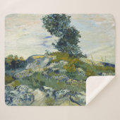 Die Rocks Vincent van Gogh Sherpadecke (Vorderseite (Horizontal))
