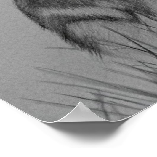 Die Rolle des Abwassers Poster (Ecke)