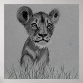 Die Rolle des Abwassers Poster (Vorne)