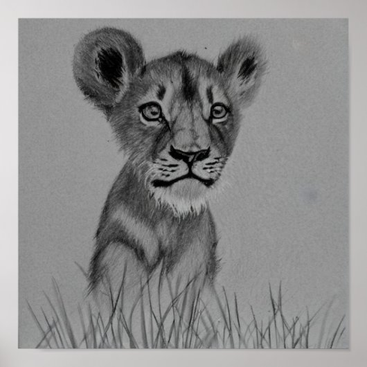 Die Rolle des Abwassers Poster (Vorne)