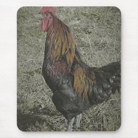 Die Rooster Crows Mousepad (Vorne)