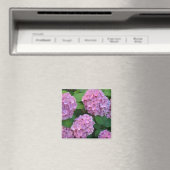 Die rosa Hortensia-Hydrangea Magnet (In Situ (Geschirrspüler))