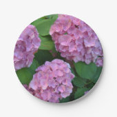 Die rosa Hortensia-Hydrangea Pappteller (Vorderseite)