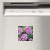 Die rosa Hortensie Hydrangea Magnet (In Situ (Geschirrspüler))