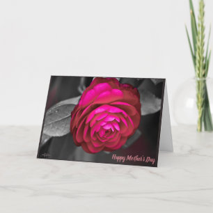 Die rosafarbene Camellia Alles Gute zum Muttertag Dankeskarte