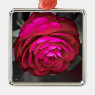 Die rosafarbene Kamelie Ornament Aus Metall