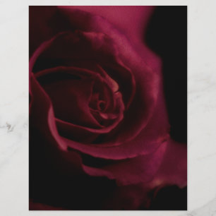 Die Rose 8.5 "x11" des geflochtenen Binder-Papiers Flyer