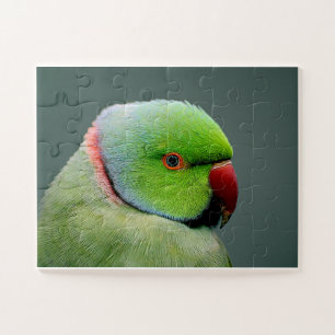 Die Rose am Paraket Puzzle