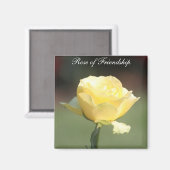 Die Rose der Freundschaft Magnet (Vorderseite/Rückseite)