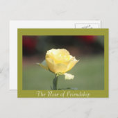 Die Rose der Freundschaft Postkarte (Vorne/Hinten)