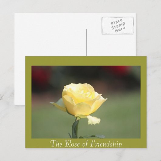 Die Rose der Freundschaft Postkarte (Vorne/Hinten)