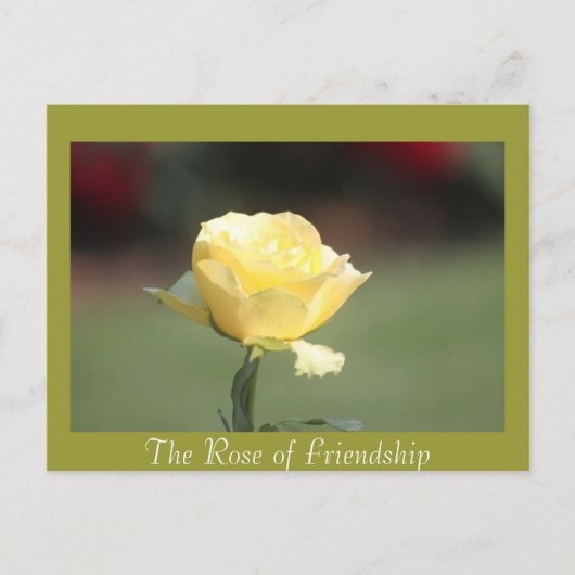 Die Rose der Freundschaft Postkarte (Vorderseite)