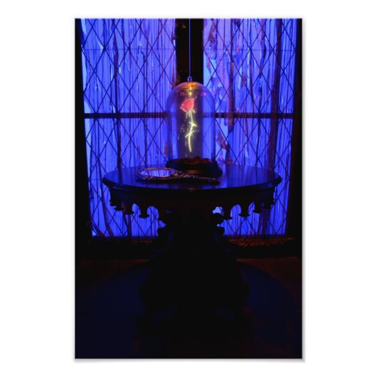 Die Rose Fotodruck (Vorne)