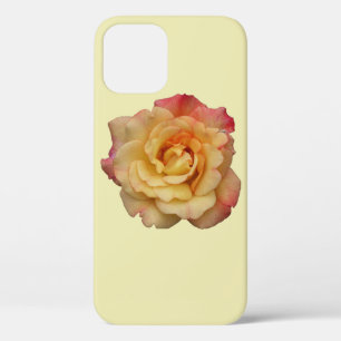 Die Rose ist schön rosa und gelb Case-Mate iPhone Hülle