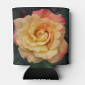 Die Rose ist schön rosa und gelb Dosenkühler (Rückseite)