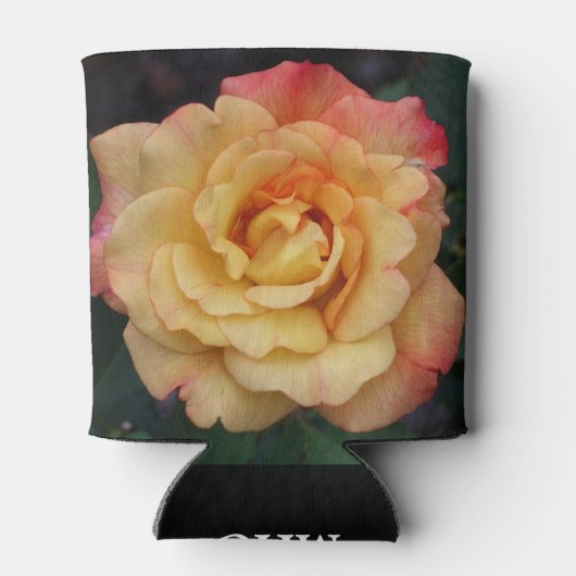 Die Rose ist schön rosa und gelb Dosenkühler (Rückseite)